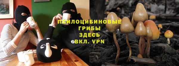 сатива Нея