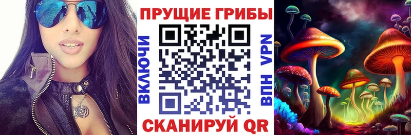 Псилоцибиновые грибы Magic Shrooms  где найти   это состав  Кемерово 