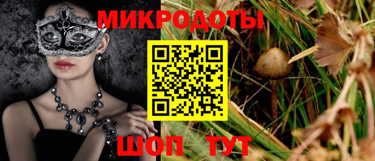 Россия  Псилоцибиновые грибы Psilocybine cubensis  Вход с VPN 