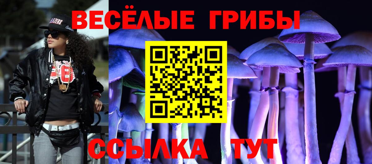 Галлюциногенные грибы ЛСД Россия